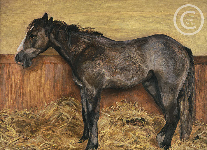 Lucian Freud "A Filly" 1970 Oil on Canvas 19cmx26cm
