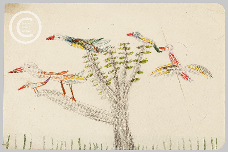 Lucian Freud 'Birds inTree' c1930 Crayon on paper 14cmx21cm