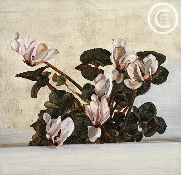 Lucian Freud "Cyclamen" 1964 Oil on Canvas 45.7cmx49cm