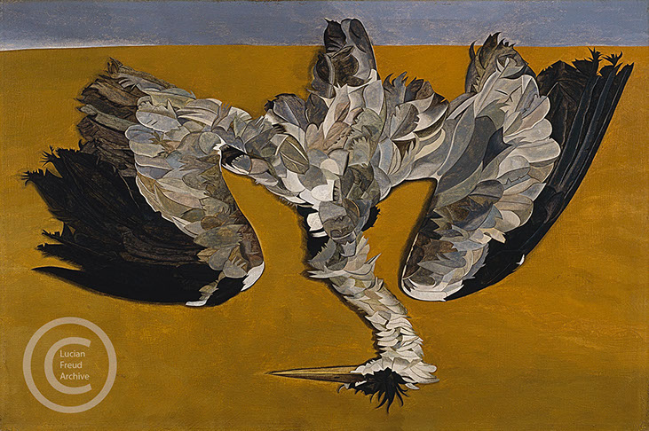Lucian Freud "Dead Heron"  1945  Oil on Canvas  50.8cm x 76.2cm   