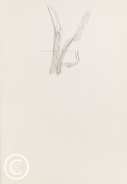 Lucian Freud 'Drawing for 'The Painter's Garden' c2005 Pencil on paper 41cm x 26.5cm