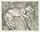 Lucian Freud "Eli" 2002 Etching (ed of 46) 66cmx84.5cm