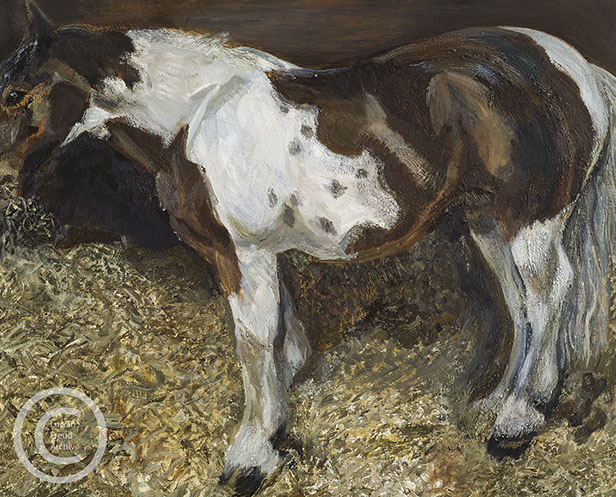 "Mare Eating Hay" 2006 Oil on Canvas 81.3cmx101.6cm