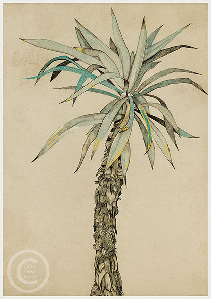 Lucian Freud 'Palm Tree' 1942 Pastel, Chalk and Ink on Paper 61.5cmx43.5cm