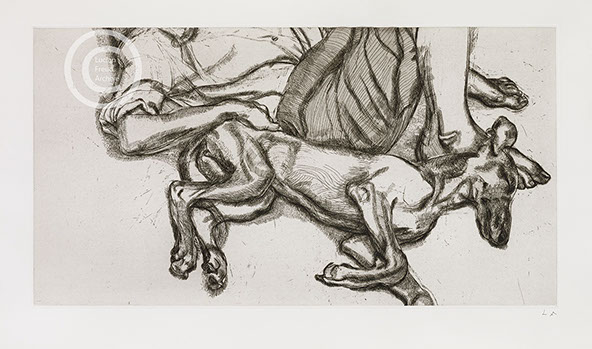 Lucian Freud "Pluto" 1988 Etching and Drypoint (ed of 40) 32.1cmx60cm
