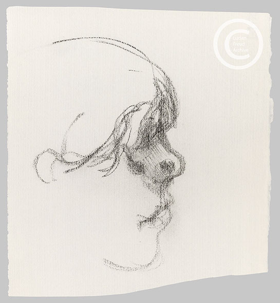 Lucian Freud 'Profile, Head' c1990 Pencil on Paper 27cmx24.5cm