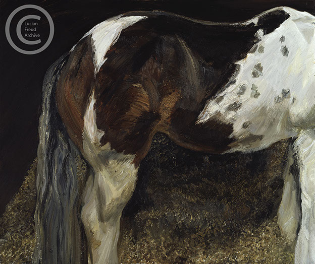 "Skewbald Mare" 2004 Oil on Canvas 102cmx122.2cm