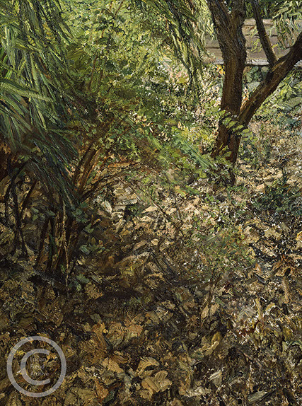 "The Painter's Garden" 2003 Oil on Canvas 61.6cmx46cm