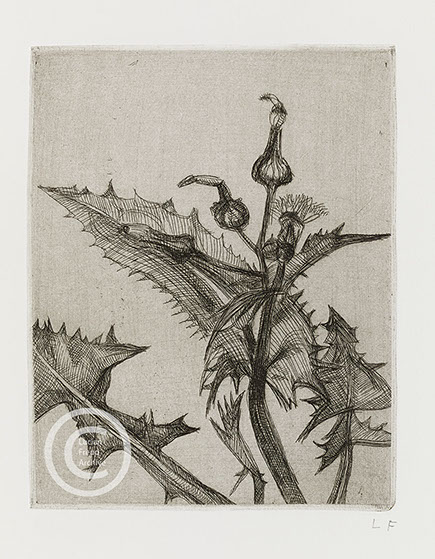 Lucian Freud "Thistle" 1985 Etching (ed of 30) 17cmx13.5cm